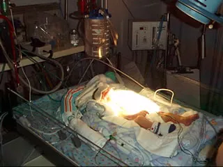 Jake - December 6, 2001