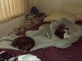 Max & Clem - July 2000