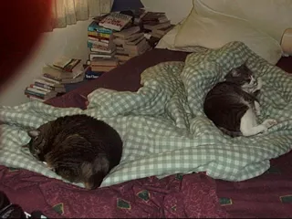 Max & Clem - July 2000