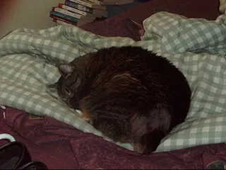 Max - July 2000
