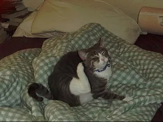 Clem - July 2000