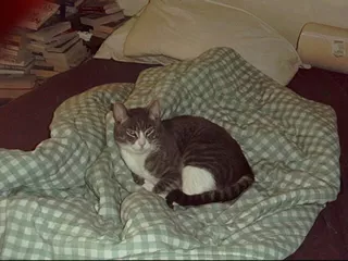 Clem - July 2000