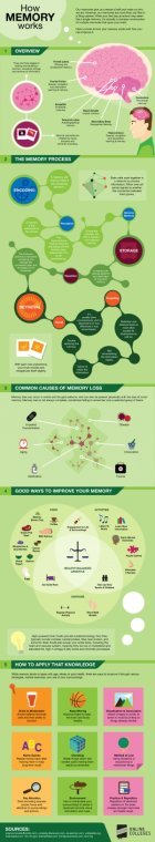How Memory Works