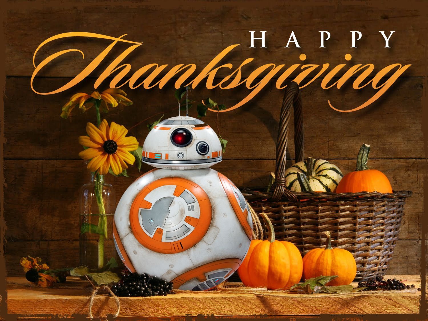 Happy Thanksgiving
