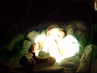 Jake - December 6, 2001