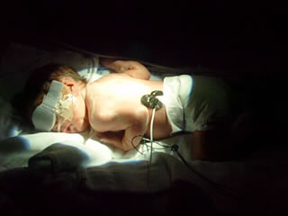 Jake - December 6, 2001