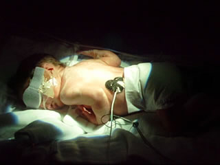 Jake - December 6, 2001
