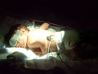 Jake - December 6, 2001