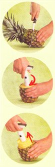 Vacuvin Pineapple Slicer